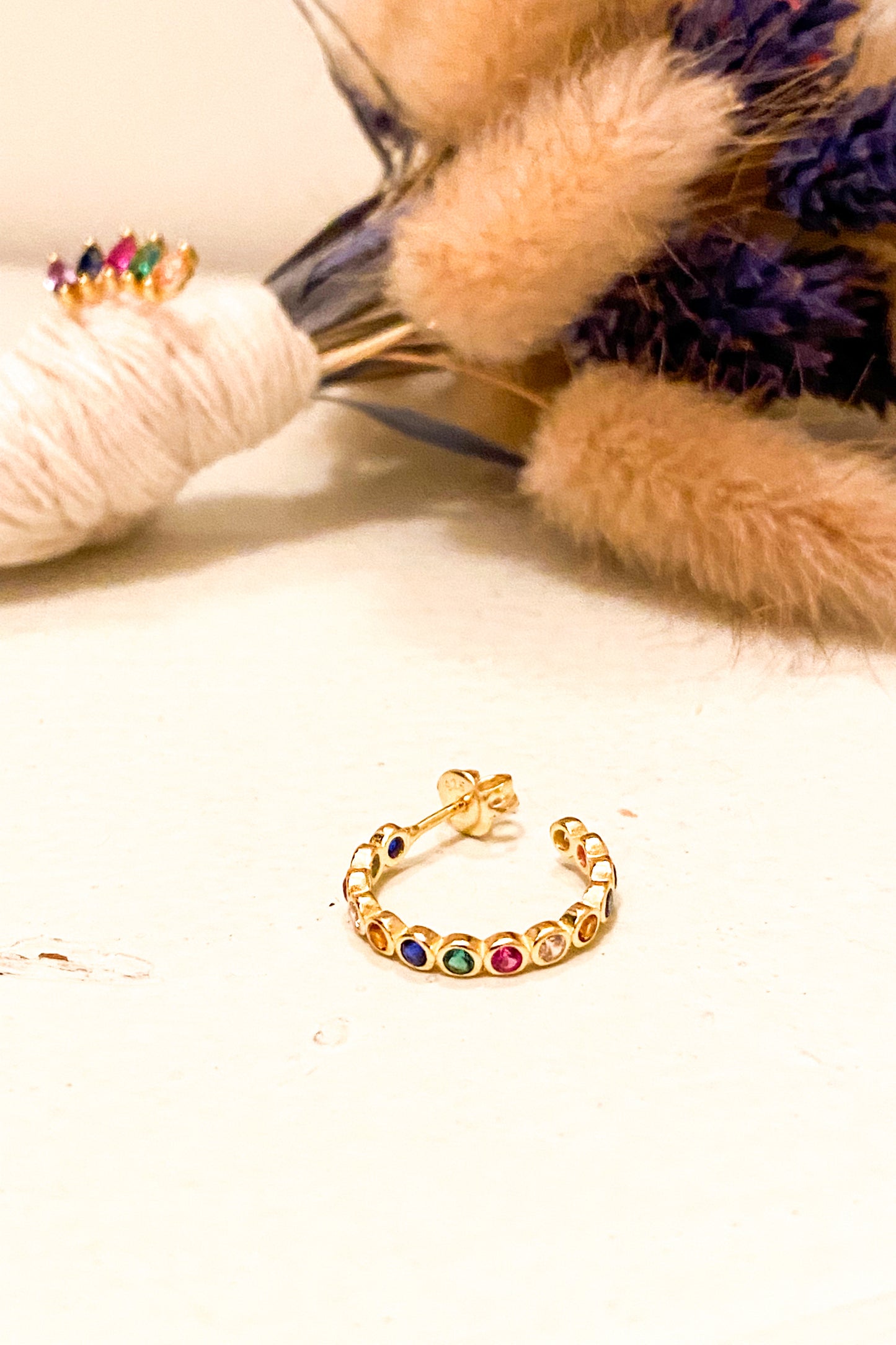 Multicolor Loop Earring