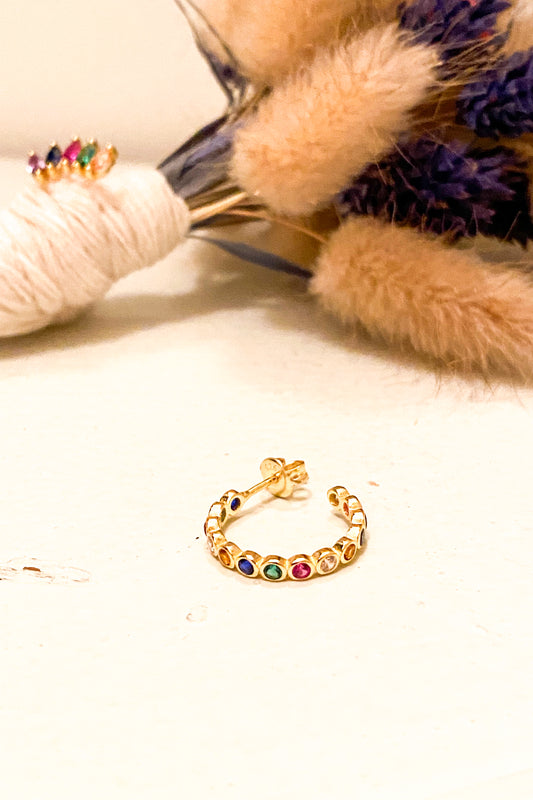 Multicolor Loop Earring