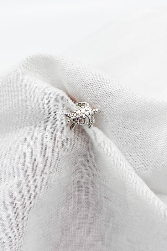 Turtle Zilver