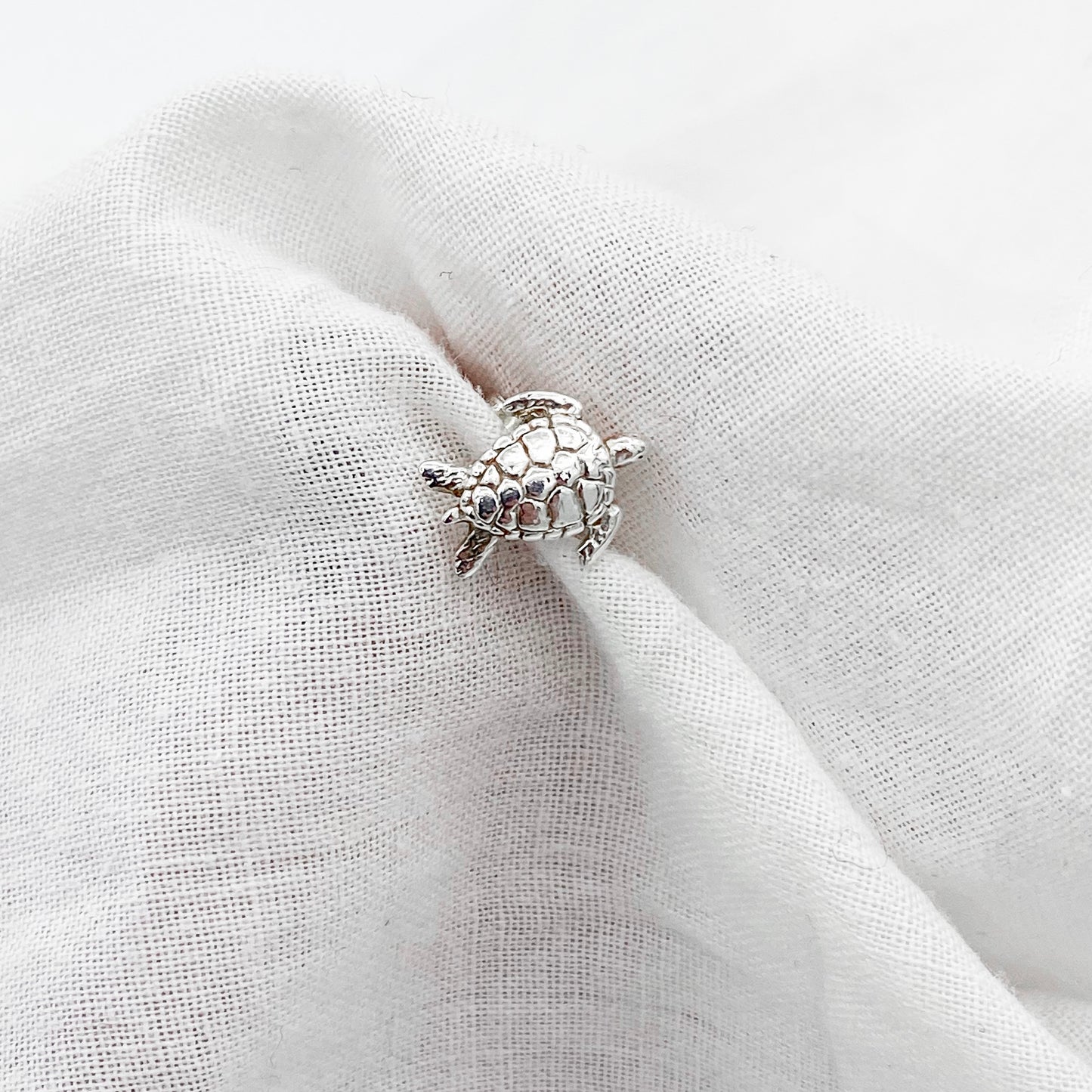 Turtle Zilver