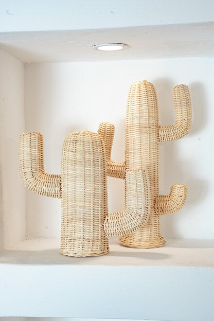 Rotan Cactus M